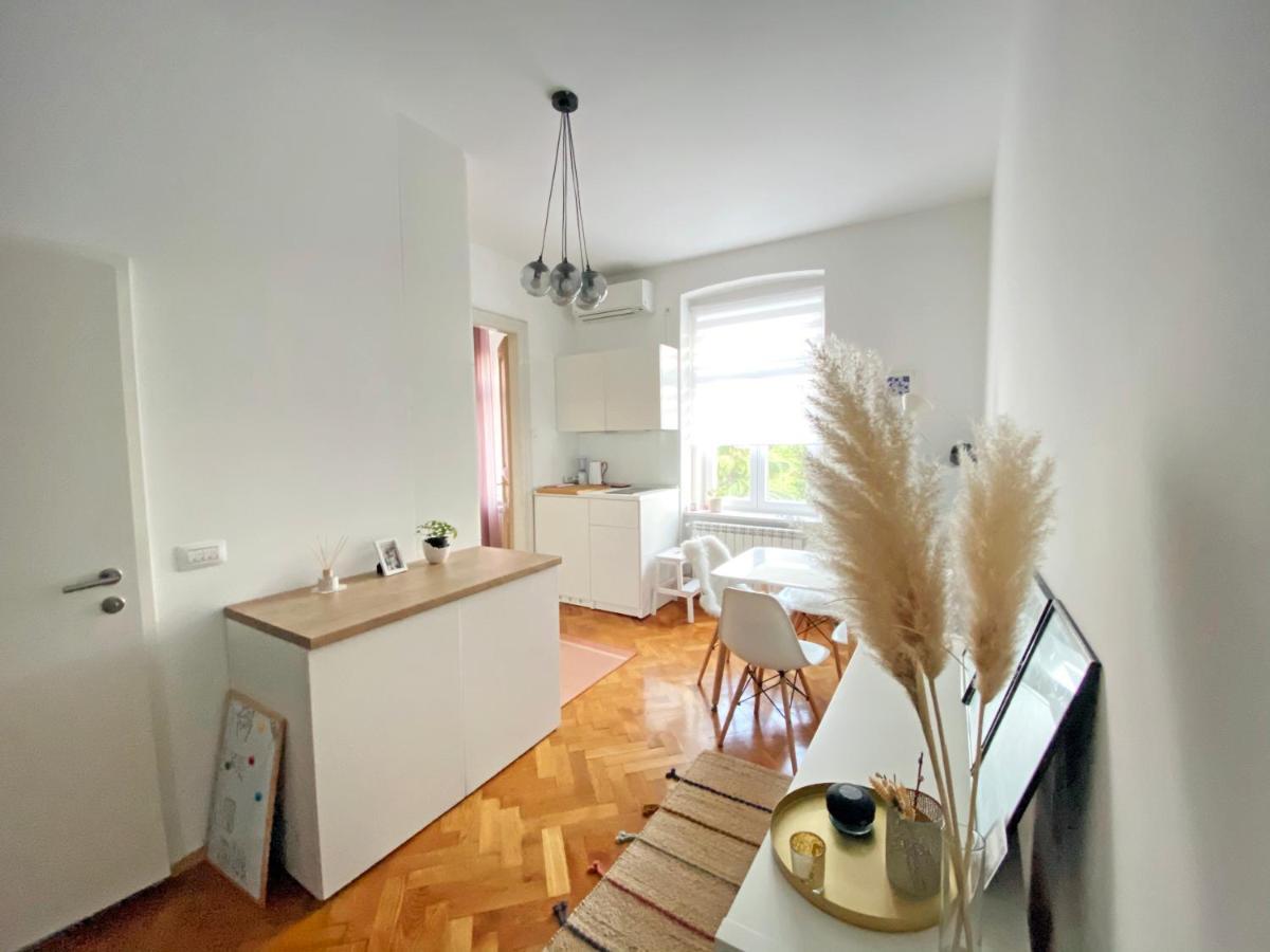 Bright Apartment 45M2 - Free Parking - Wifi Rijeka Dış mekan fotoğraf